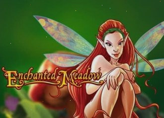 enchanted meadow play n go